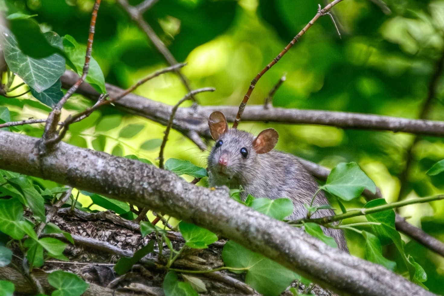 Seasonal Prevention Tips For Every Homeowner