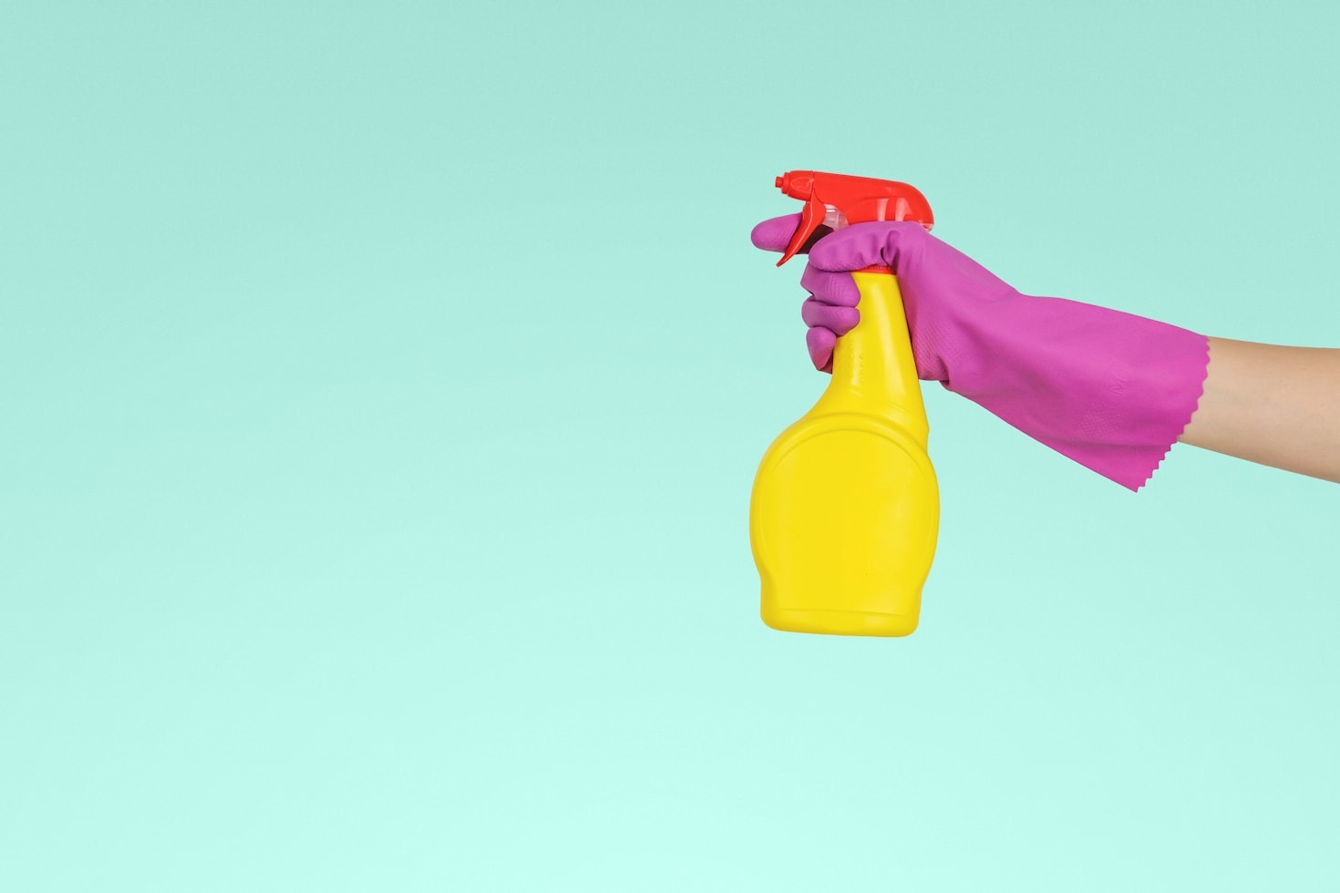 The Hidden Dangers Of Common Household Pests